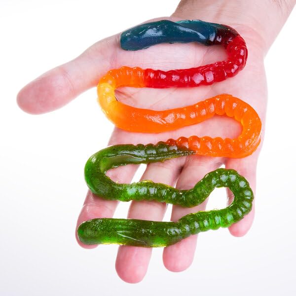 The Gummy Fireworm - 2 feet long! – Off the Wagon Shop