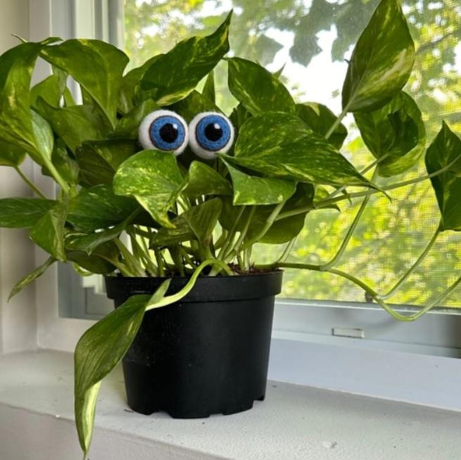 Sheep Farm Felt Arts & Crafts Plant Eyeballs - Felt