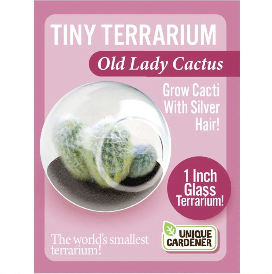 Silver Circle Products Toy Science Old Lady Tiny Terrarium Cactus