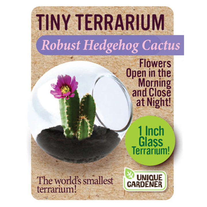 Silver Circle Products Toy Science Tiny Terrarium Cactus Robust Hedgehog