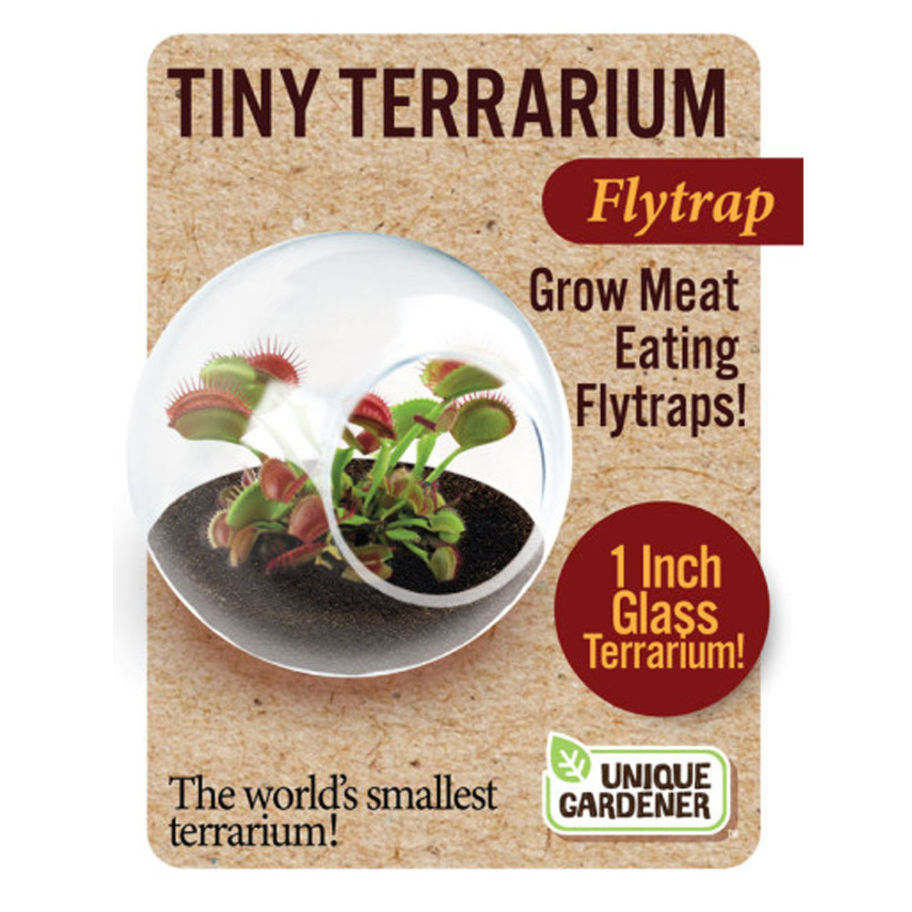 Silver Circle Products Toy Science Tiny Terrarium Carnivorous Meat Eating Flytrap