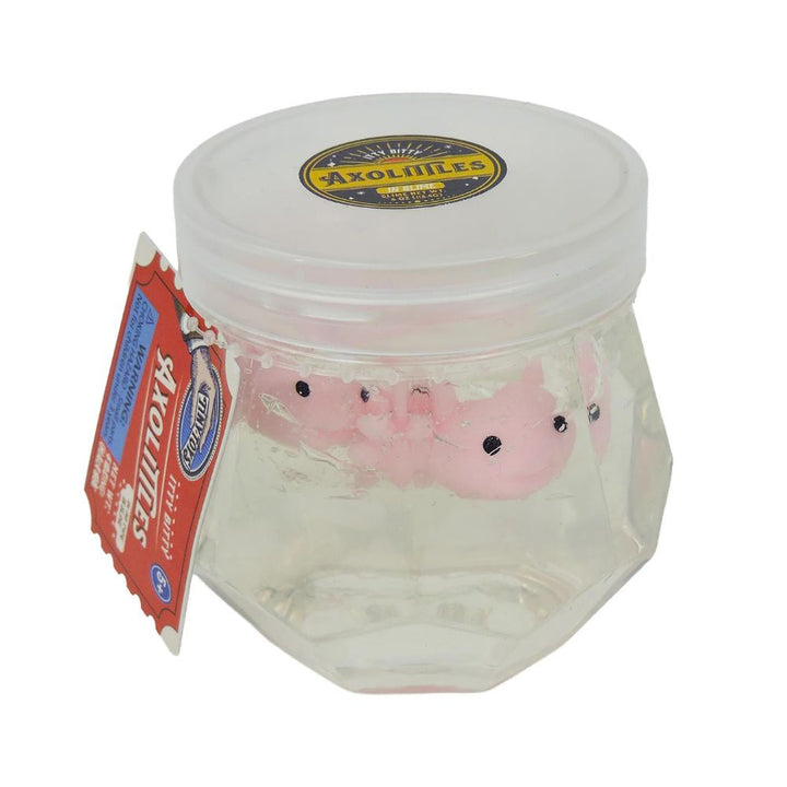 Toysmith Toy Novelties Tiny Toys Itty Bitty Axolittles