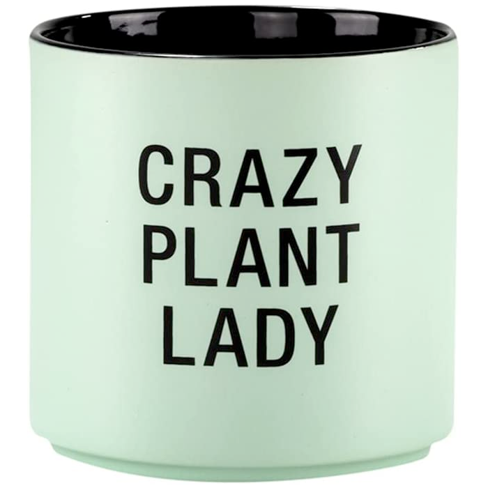 About Face Designs Home Decor Crazy Plant Lady Snarky Planter
