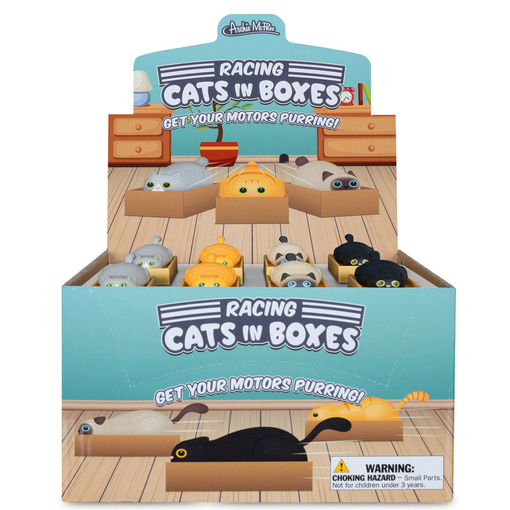Accoutrements - Archie McPhee Toy Novelties Racing Cat in Box - 1 random color
