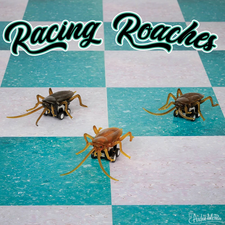 Accoutrements - Archie McPhee Toy Novelties Racing Roach - 1 roach