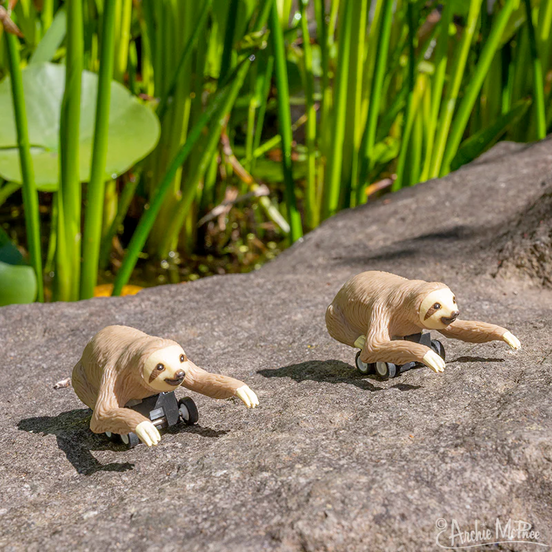 Racing Sloth - 1 pc – Off the Wagon Shop