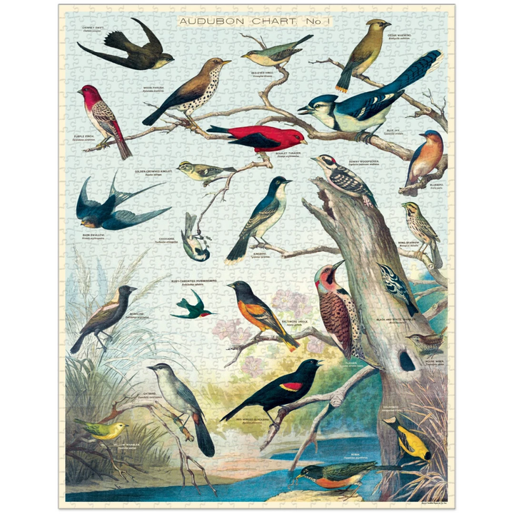 Cavallini Papers & Co Puzzles Audubon Birds 1000 pc puzzle