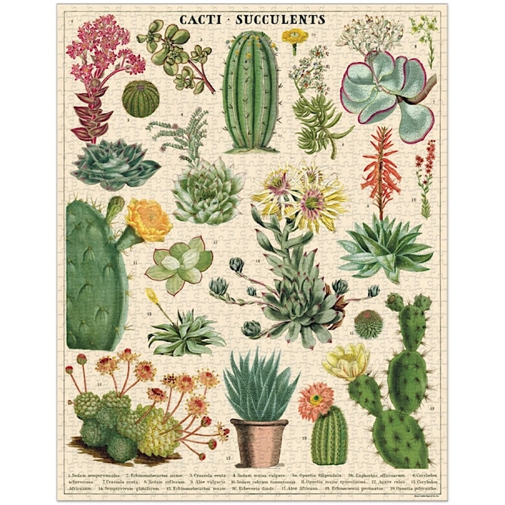 Cavallini Papers & Co Puzzles Cacti & Succulents 1,000 Piece Puzzle