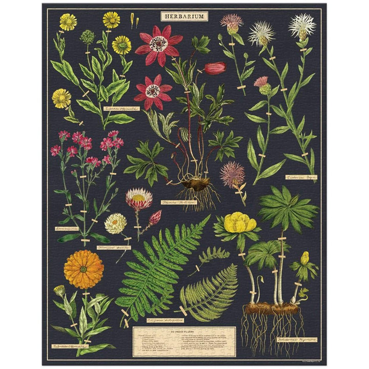 Cavallini Papers & Co PUZZLES Herbarium 1,000 Piece Puzzle