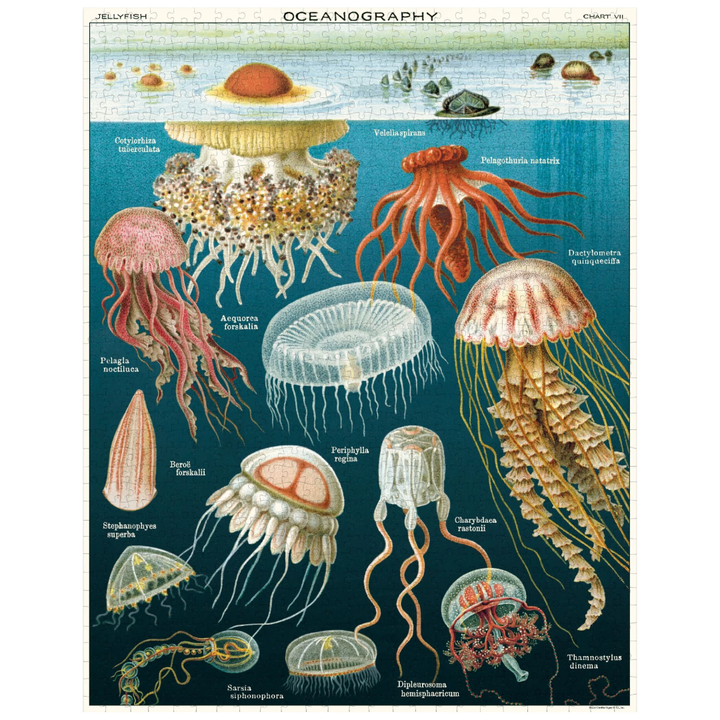 Cavallini Papers & Co Puzzles Jellyfish 1000 Pc  Puzzle