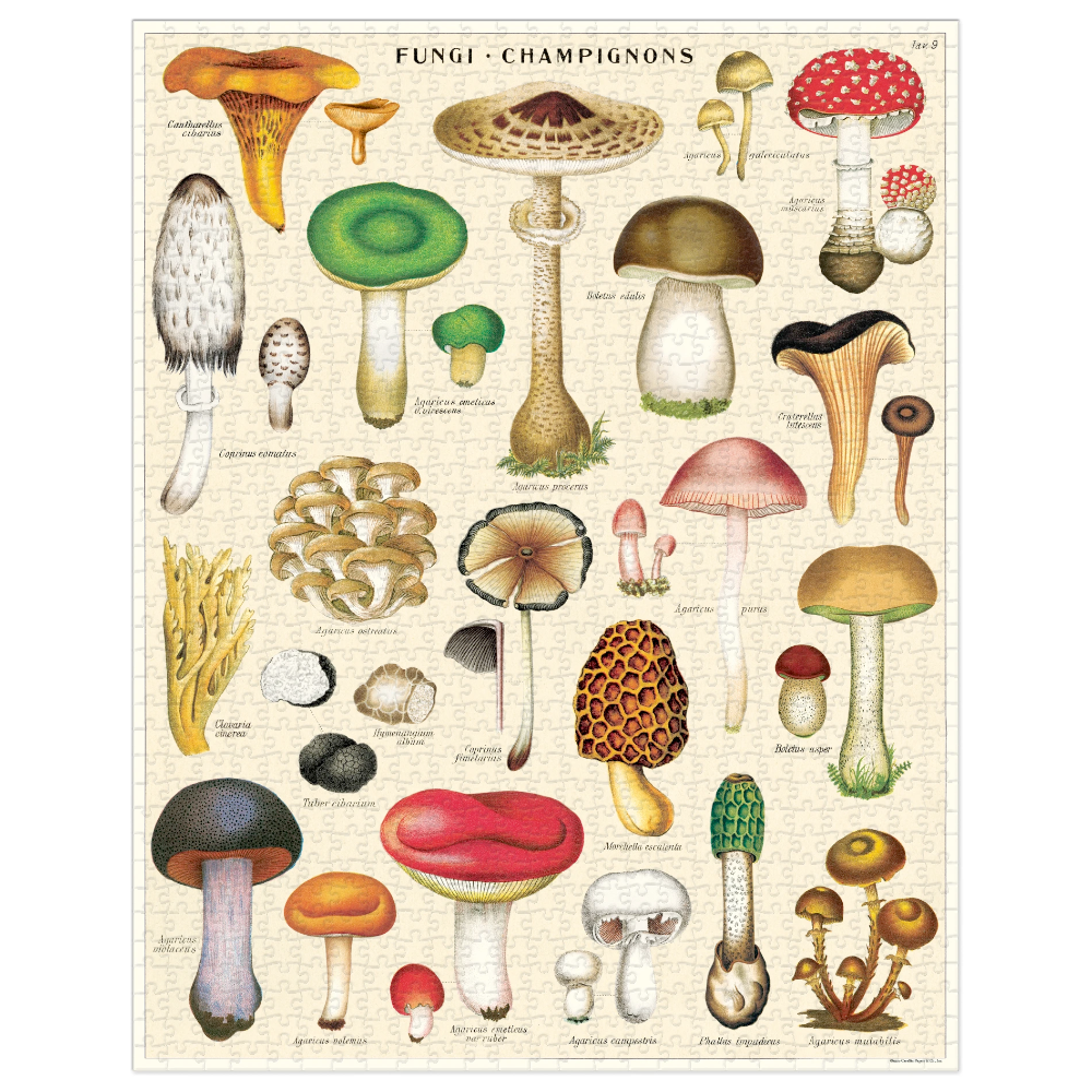Cavallini Papers & Co Puzzles Mushrooms 1000 Piece Puzzle