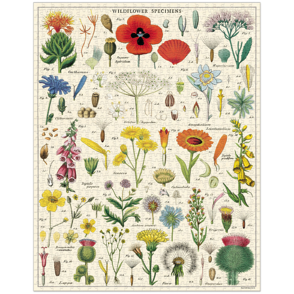 Cavallini Papers & Co Puzzles WIldflowers 1,000 Piece Puzzle