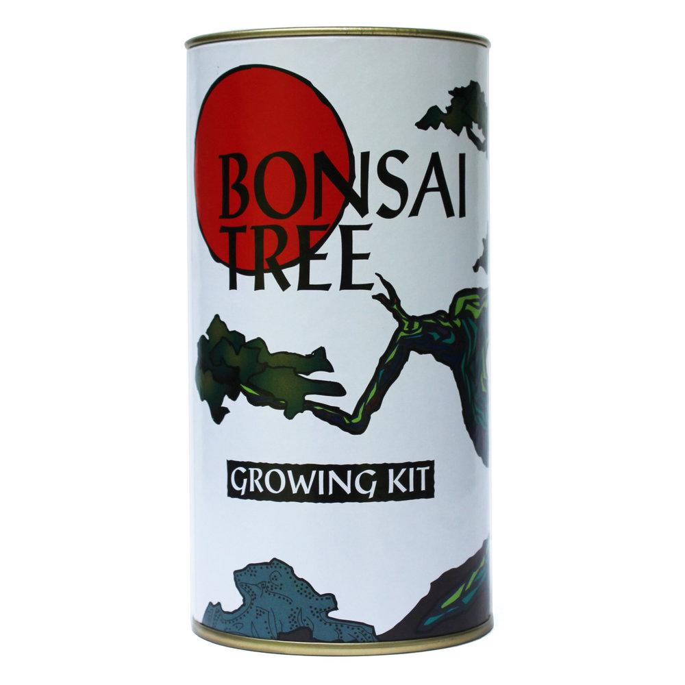 Channel Craft IMPULSE Grow Bonsai Tree Kit USA
