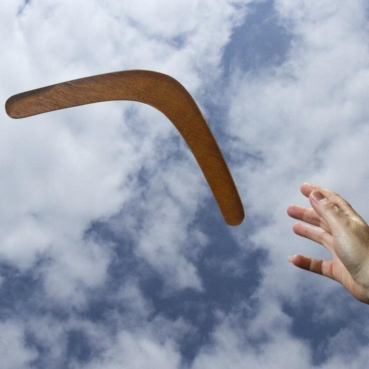 Channel Craft Toy Outdoor Fun Spirit of the Wind Boomerang USA