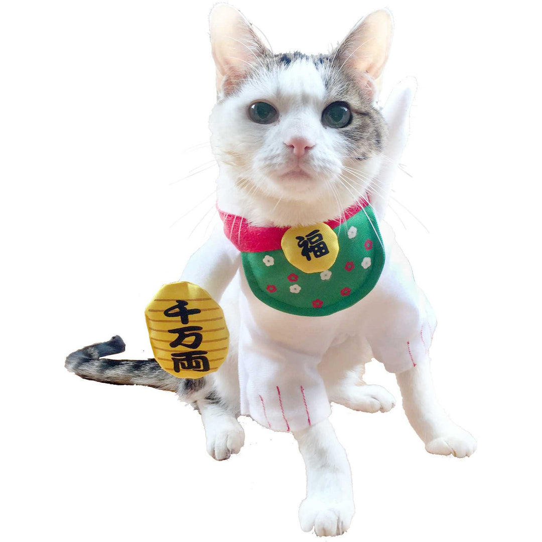 Clever Idiots Inc. Funny Novelties Lucky Cat Costume