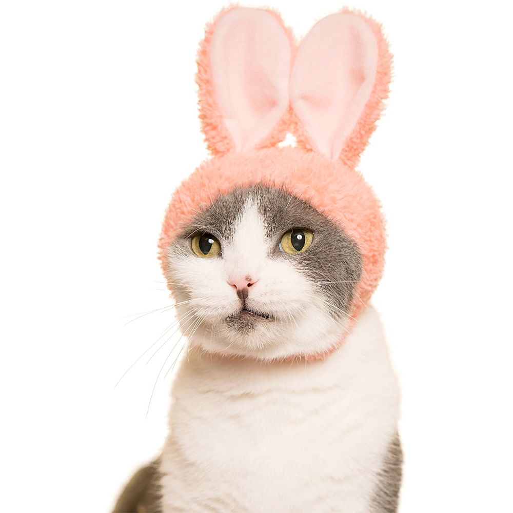 Clever Idiots Inc. Funny Novelties Rabbit Ears Cat Cap Blind Box