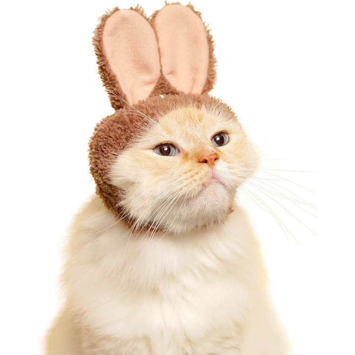 Clever Idiots Inc. Funny Novelties Rabbit Ears Cat Cap Blind Box