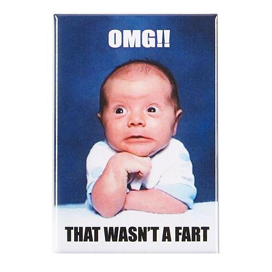 Ephemera IM Magnets Omg!! That Wasn't A Fart Magnet