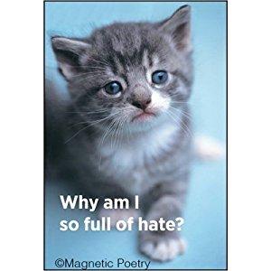 Ephemera IM Magnets Why am I so full of hate? Magnet