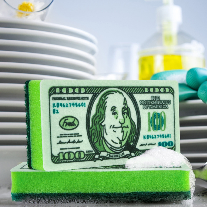 Fred & Friends Drinkware & Mugs Dirty Money! (2 sponges)