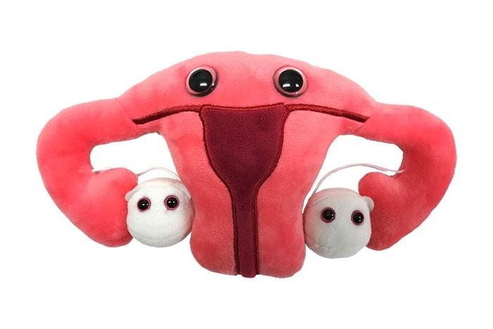 Giantmicrobes PLUSH Giantmicrobe Plush Uterus