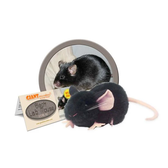 Lab Mouse Plush – Off the Wagon Shop