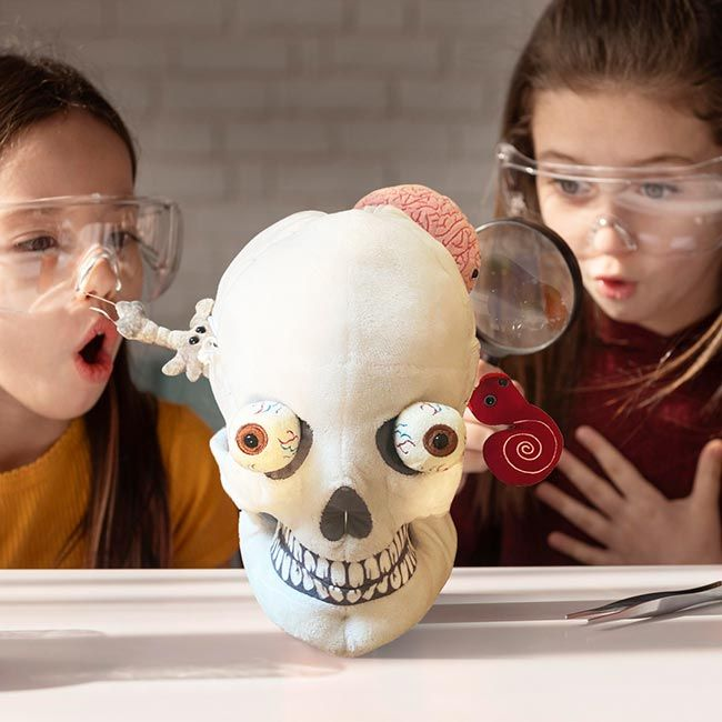 Giantmicrobes Toy Stuffed Plush Deluxe Skull With Minis