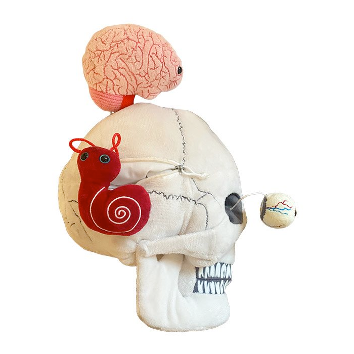 Giantmicrobes Toy Stuffed Plush Deluxe Skull With Minis