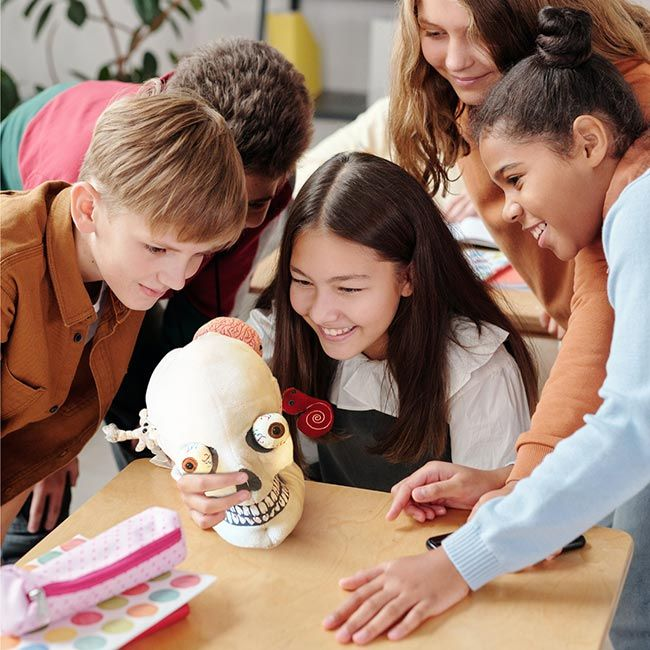 Giantmicrobes Toy Stuffed Plush Deluxe Skull With Minis