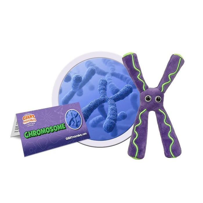 Giantmicrobes Toy Stuffed Plush Giantmicrobes Chromosome Plush