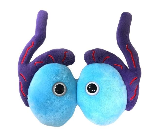Giantmicrobes Toy Stuffed Plush Giantmicrobes Testicles Plush