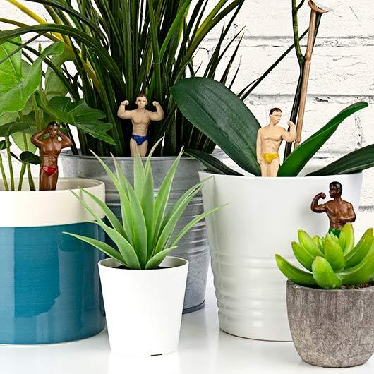Gift Republic Funny Novelties Mini Plant Pot Hunks