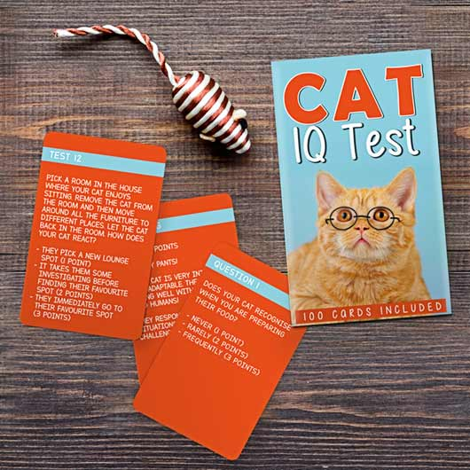 Gift Republic Games Cat IQ Test