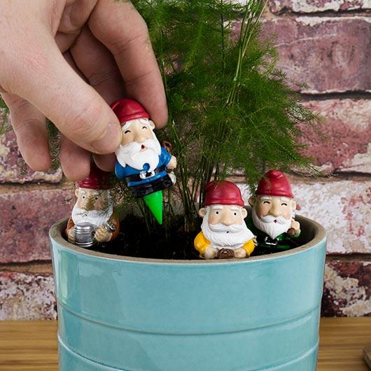 Gift Republic Home Decor Mini Plant Pot  Gnomes