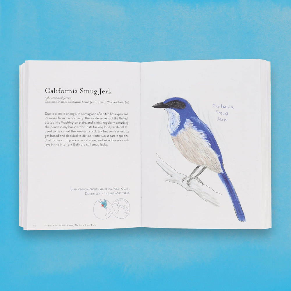 Hachette - Chronicle Books Books The Field Guide to Dumb Birds of the Whole Stupid World