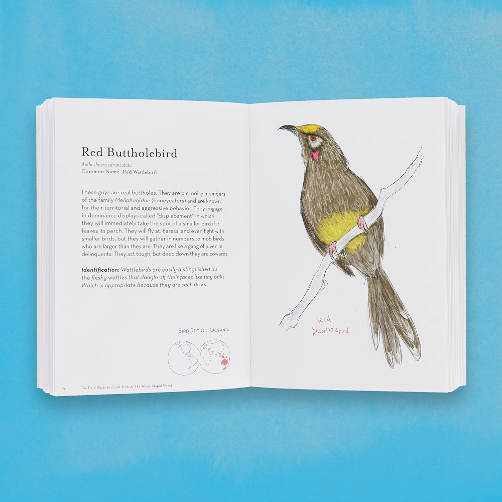 Hachette - Chronicle Books Books The Field Guide to Dumb Birds of the Whole Stupid World