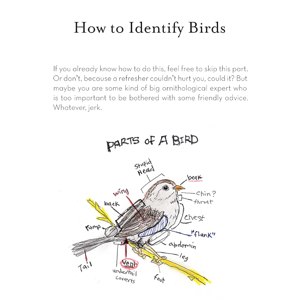 Hachette - Chronicle Books Books The Field Guide to Dumb Birds of the Whole Stupid World