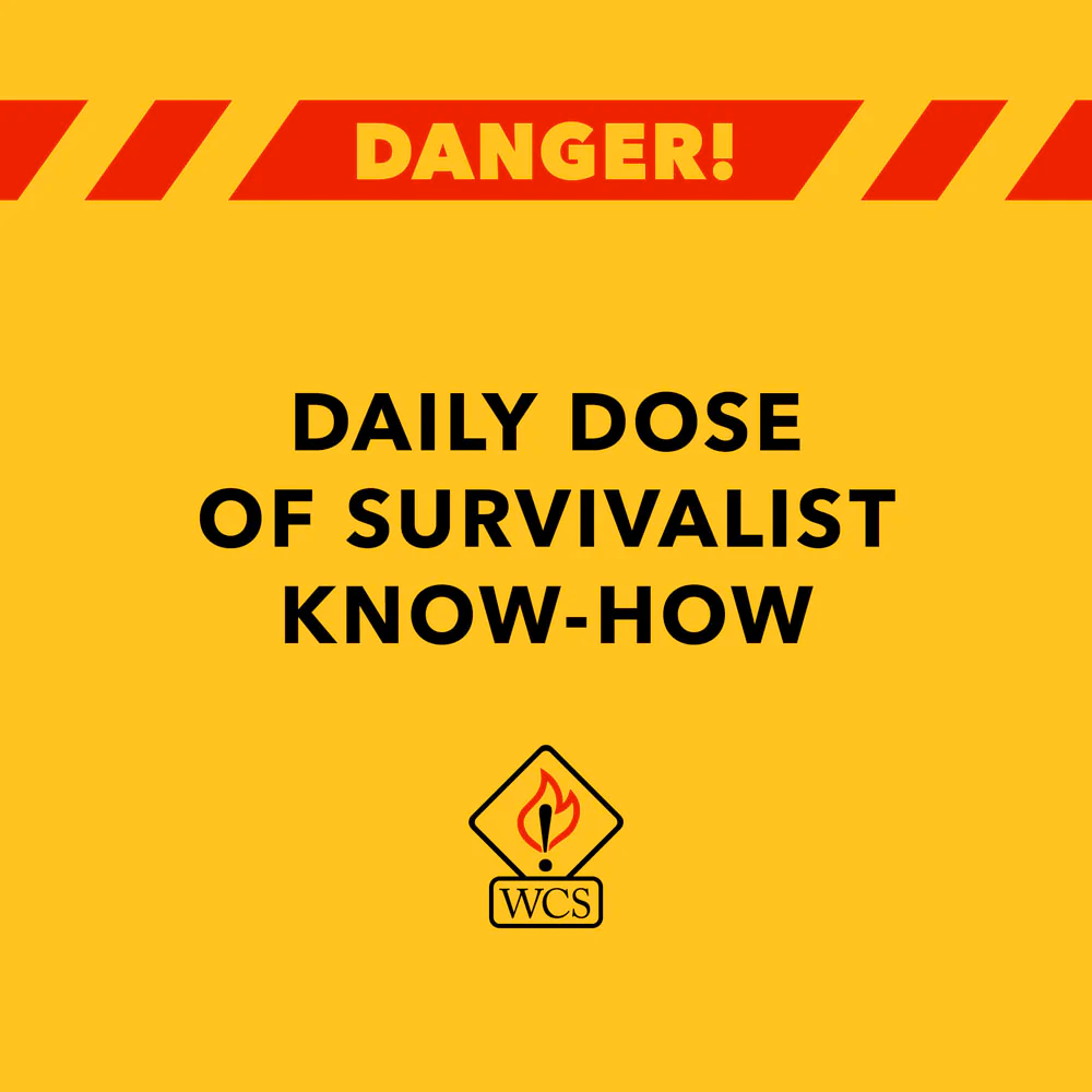 Worst Case Scenario 2024 Daily Survival Calendar Off the Wagon Shop Worst Case Scenario 2024 Daily Survival Calendar Off the Wagon Shop