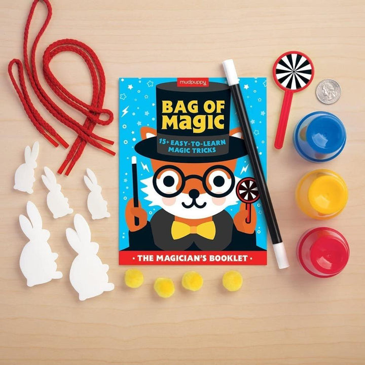 Hachette - Chronicle Books Toy Science Bag of Magic