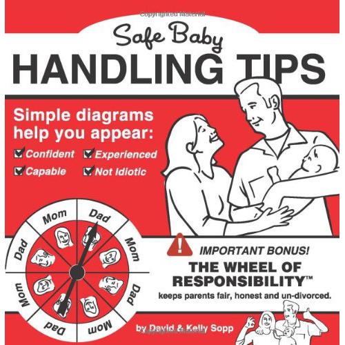 Hachette Running Press BOOKS Safe Baby Handling Tips