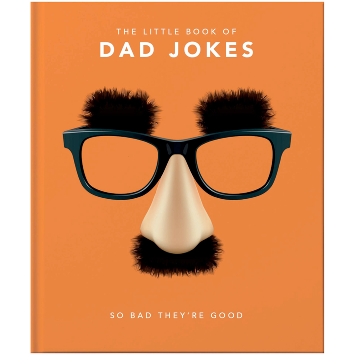 Ingram Books Little Book of Dad Jokes