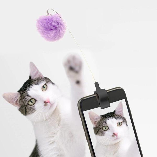 KIKKERLAND Funny Novelties Kitty Phone Clip