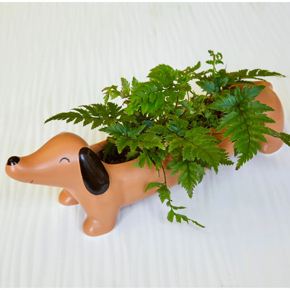 KIKKERLAND Home Decor Daisy The Dachshund Planter