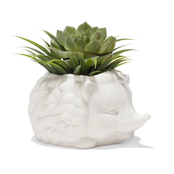 KIKKERLAND Home Decor Prickles the Hedgehog Planter