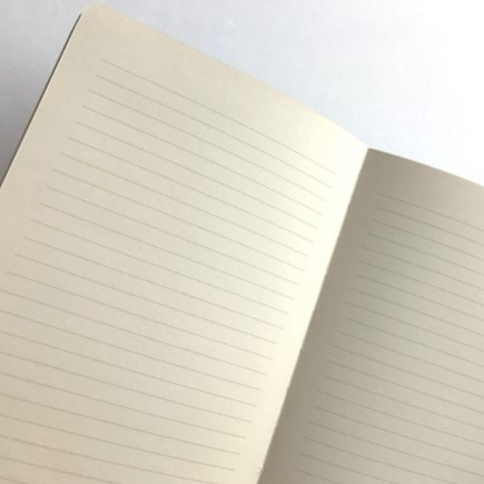 Mincing Mockingbird Journals & Notebooks Nap Log