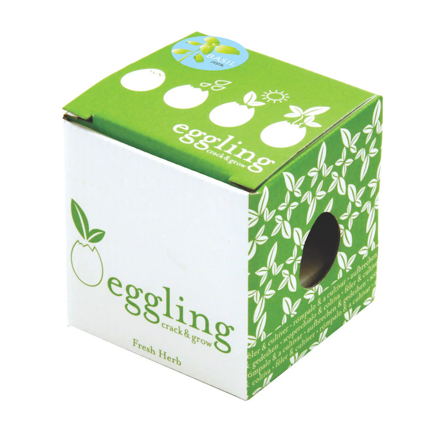 Noted Home Decor Basil Eggling Mini  Garden