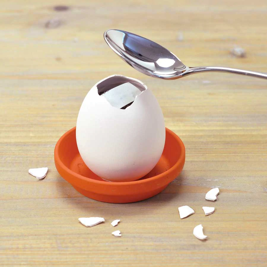 Noted Home Decor Eggling Mini  Garden