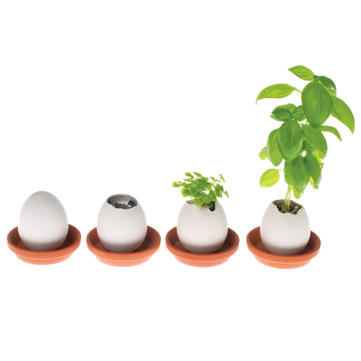 Noted Home Decor Eggling Mini  Garden