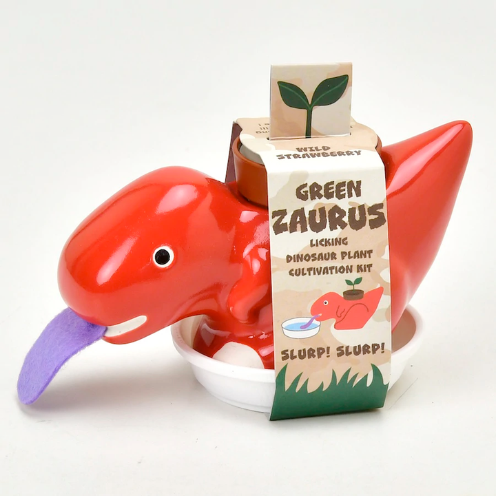 Noted Home Decor Green Zaurus - Self Watering Dino Pot - 1 random style