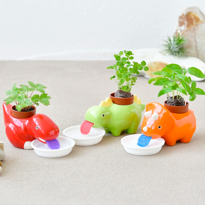 Noted Home Decor Green Zaurus - Self Watering Dino Pot - 1 random style